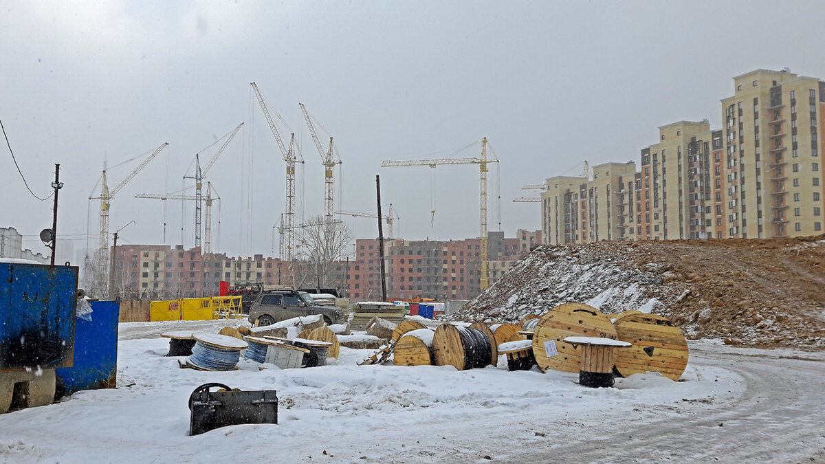 Прокуратура Красноярска проверит законность застройки Нового Академгородка  | ДЕЛА Красноярск | Дзен