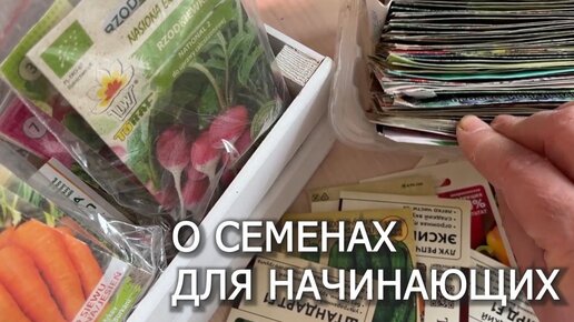 О СЕМЕНАХ ДЛЯ НАЧИНАЮЩИХ