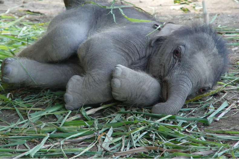 Добавьте описание