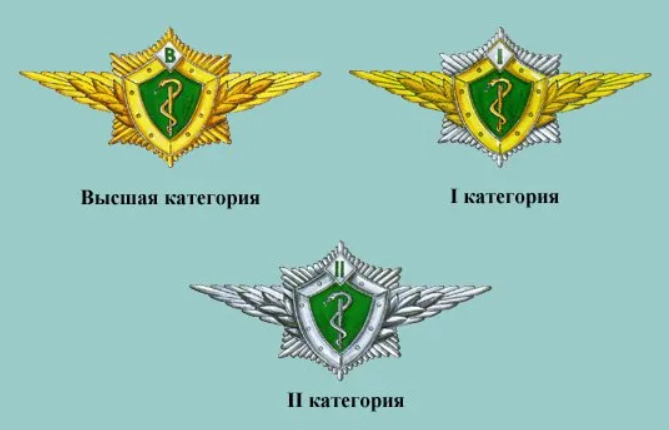 Квалификационное звание специалиста третьего класса. Нагрудные знаки фтс. Значок категория медицинская. Квалификационное звание специалиста третьего класса. Значок классности росгвардии 3.
