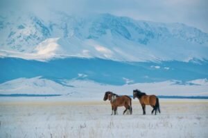    Фото: russiadiscovery.ru Анастасия Волова