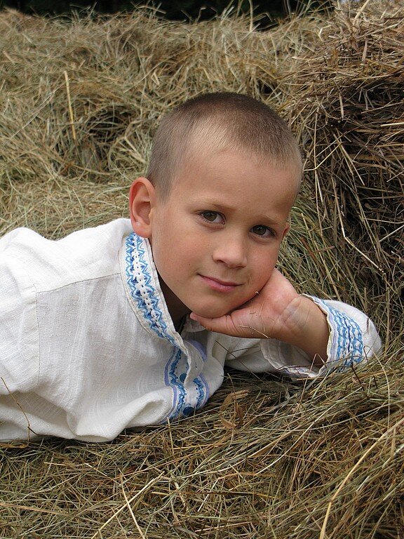 картинка из интернета