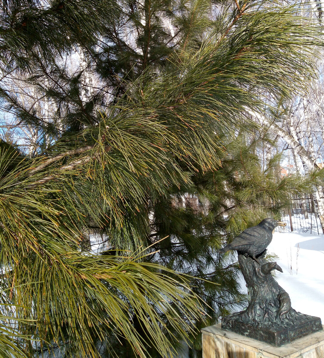 фото автора 