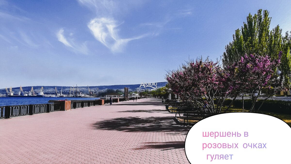 Личное фото автора. 