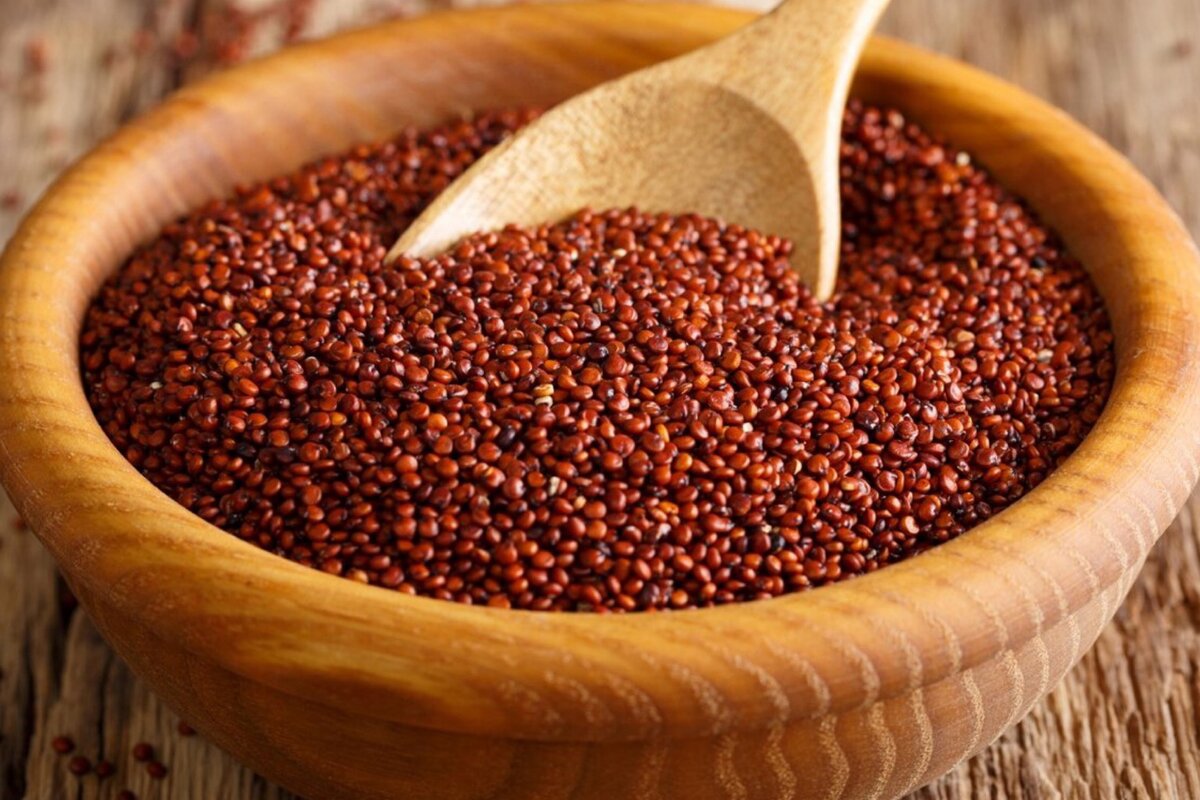 Красный киноа 