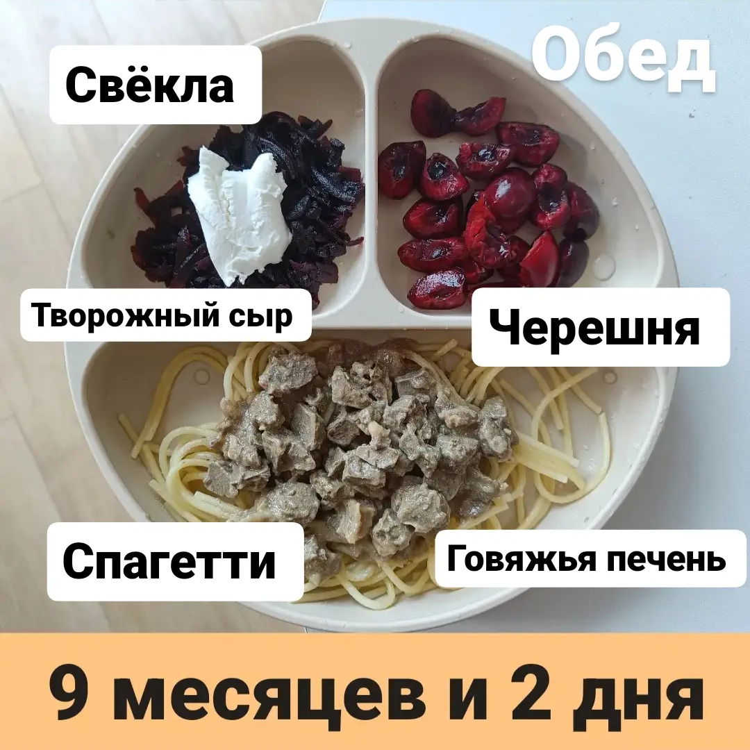 Пример тарелки в 9 месяцев 