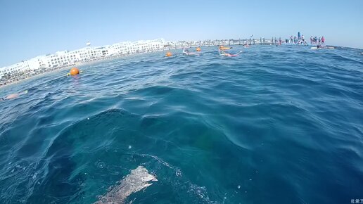 Погружение в Красное море - поплаваем и посмотрим рыбок