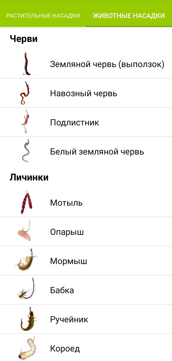 Скриншот из приложения 