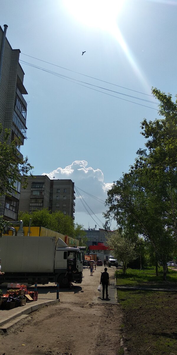 Ул. Никитина. Май 2020 г.