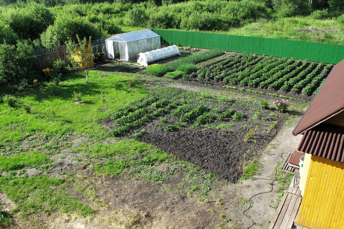 Таким был наш дачный участок ровно 10 лет назад.