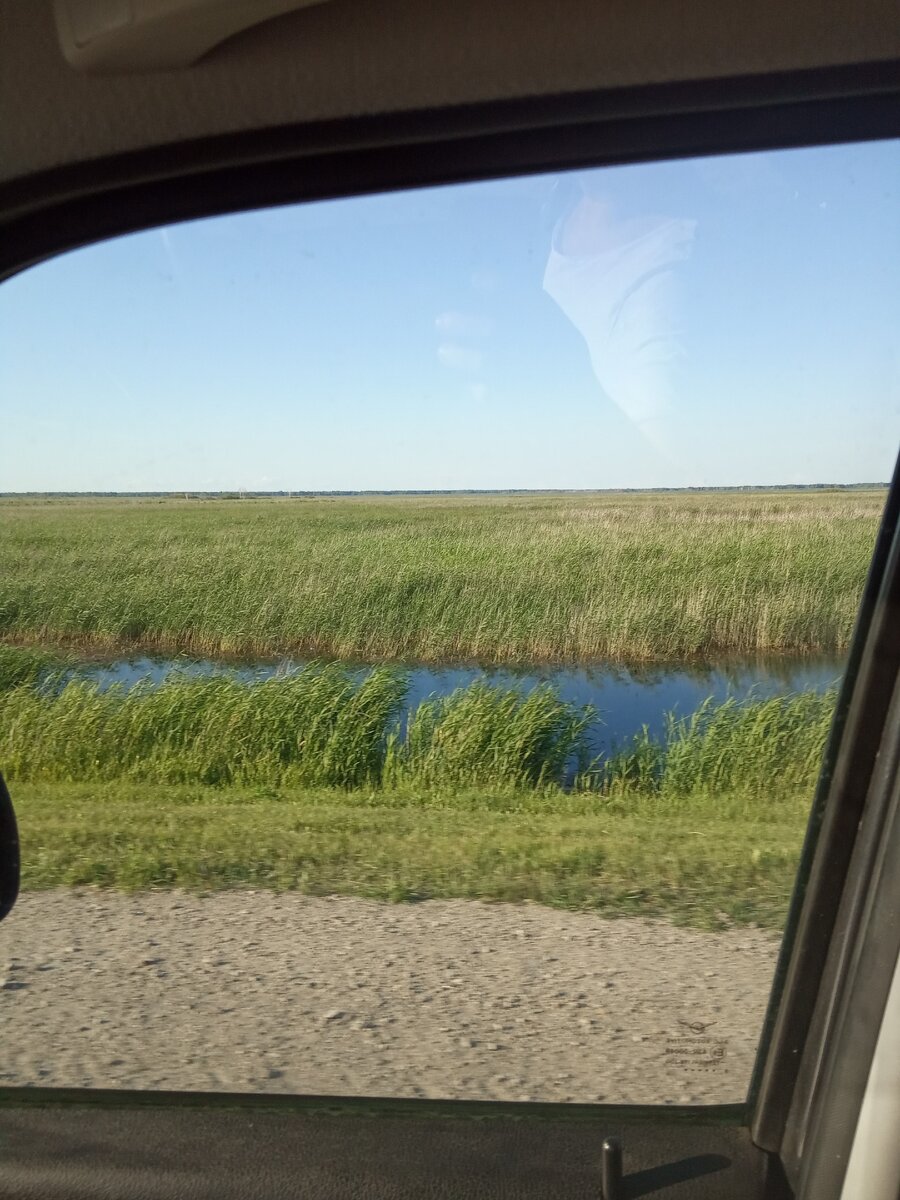 Справа болото