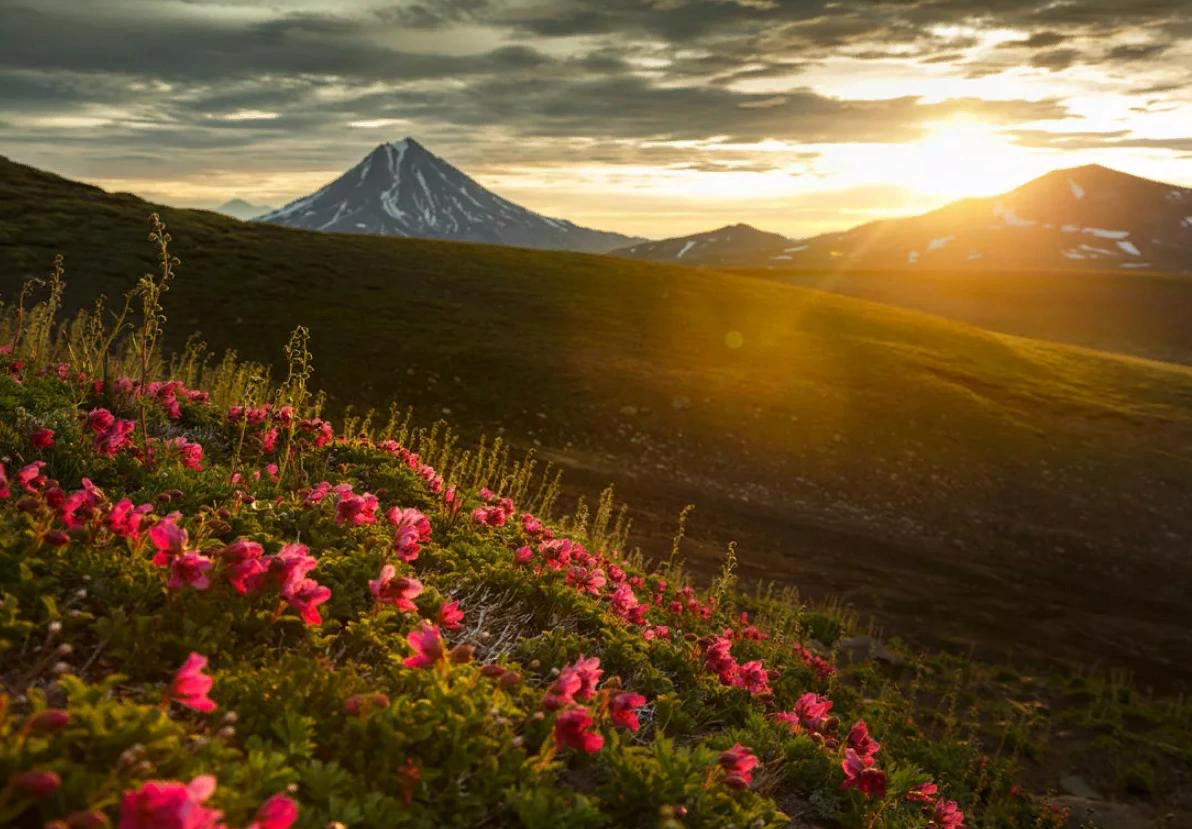 Камчатка летом