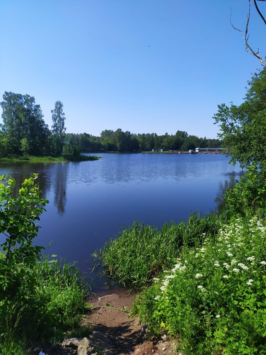 Река охта санкт петербург. Охта (приток Невы). Исток реки Охта. Река Охта Санкт-Петербург Исток.