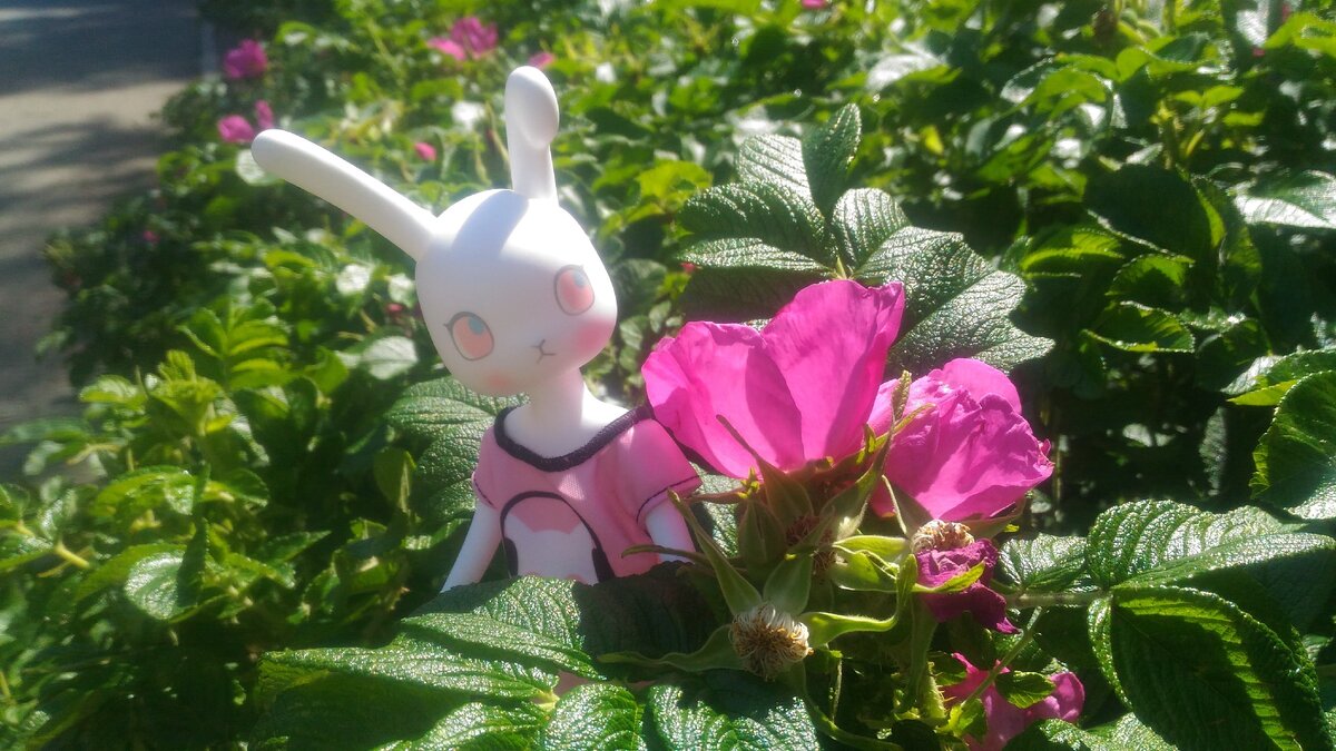 "Цвет поездки розовый, да?"