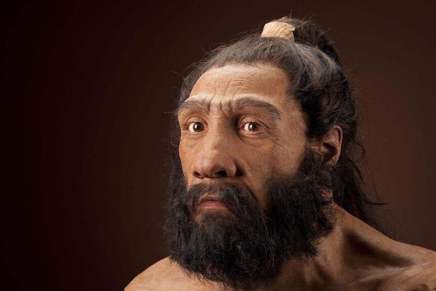 Homo neanderthalensis, взрослый мужчина. Реконструкция по Шанидару 1 Джона Гурша . Источник: https://humanorigins.si.edu
