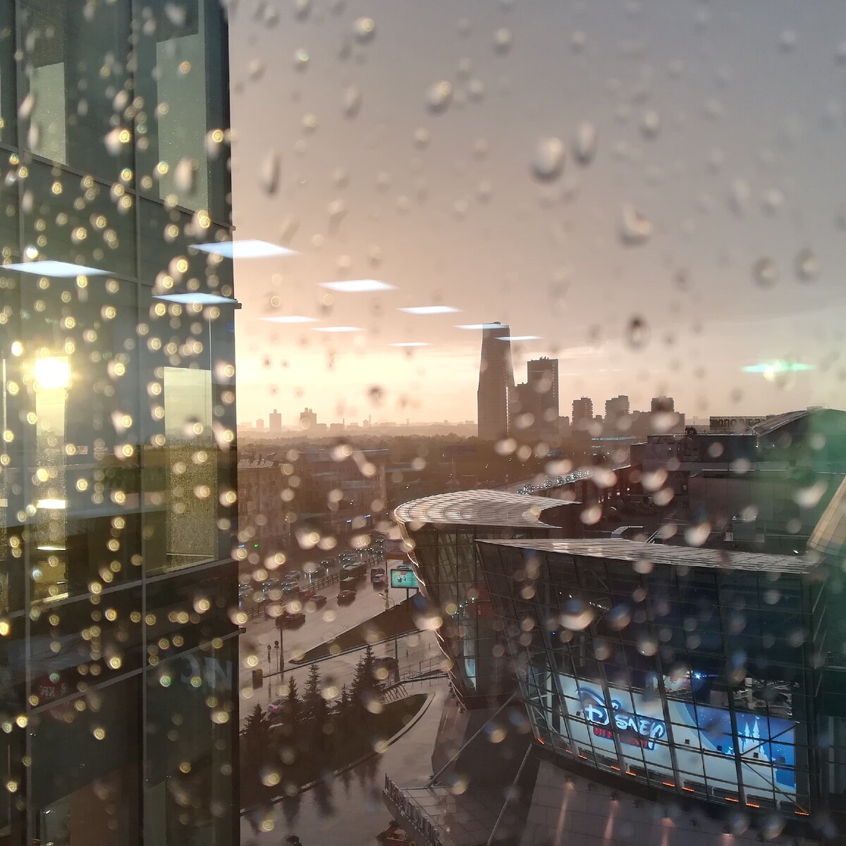 Вряд ли нам светило солнце