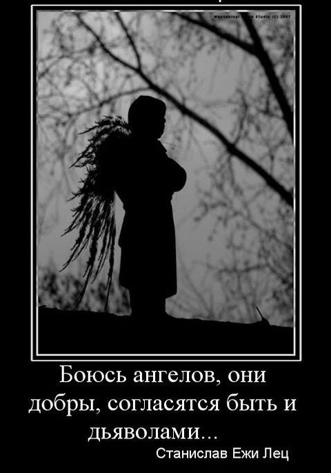 Я знаю есть ангел. Фразы дьявола. Афоризмы про демонов. Цитаты про дьявола. Цитаты про демонов.