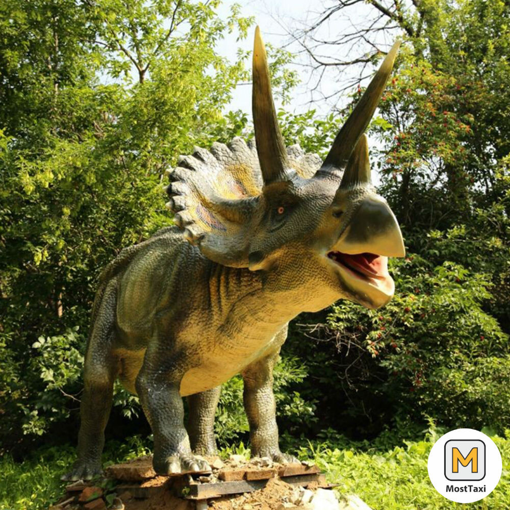 Источник Яндекс.Картинки