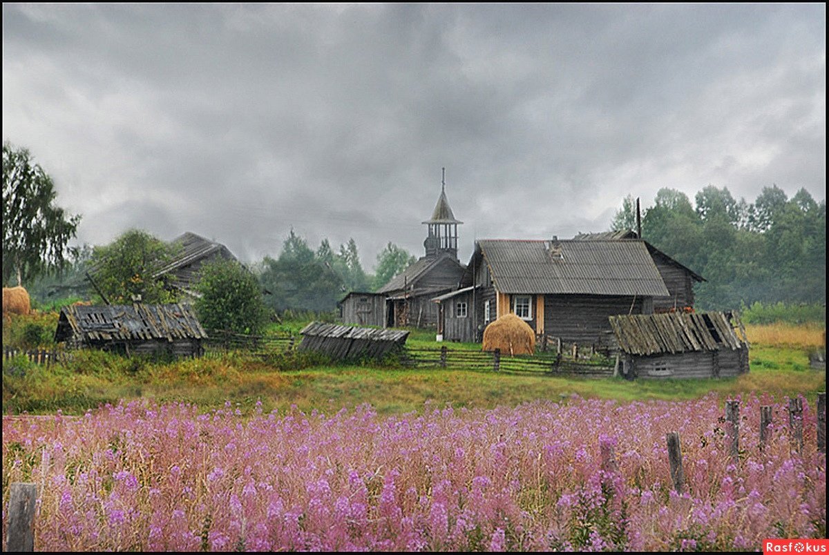 Деревня. Природа деревня. Русская деревня. Природа русской деревни. Красивые пейзажи деревни.