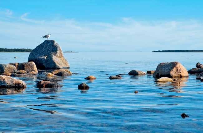 Белое море