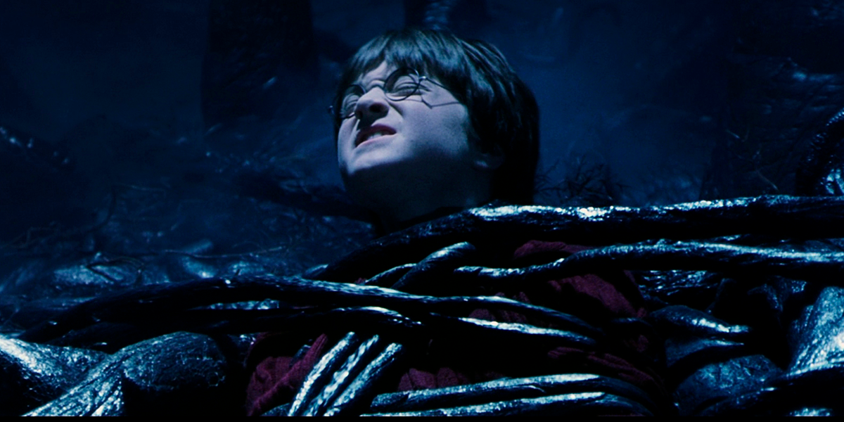 Harry is called