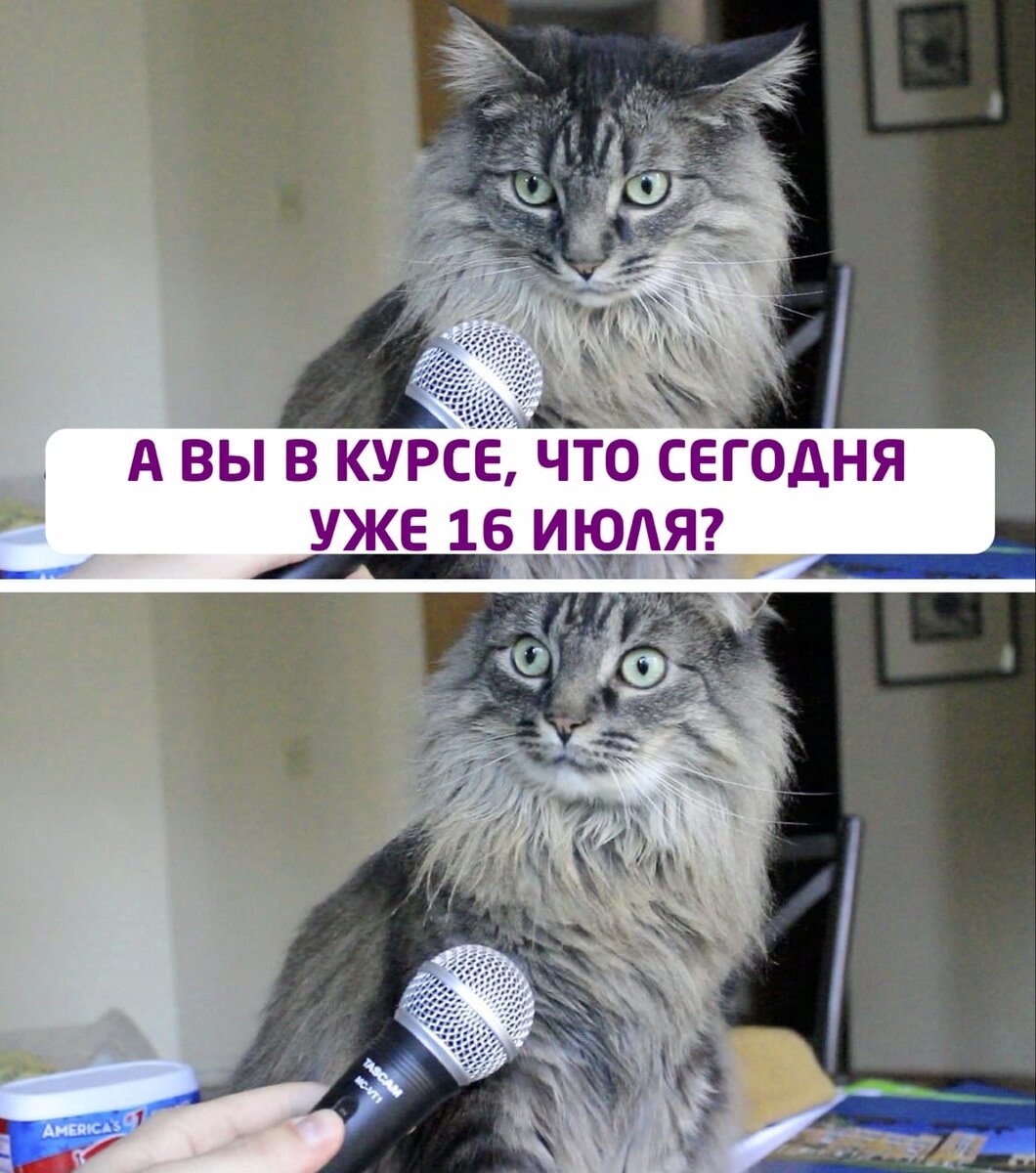 мем 2