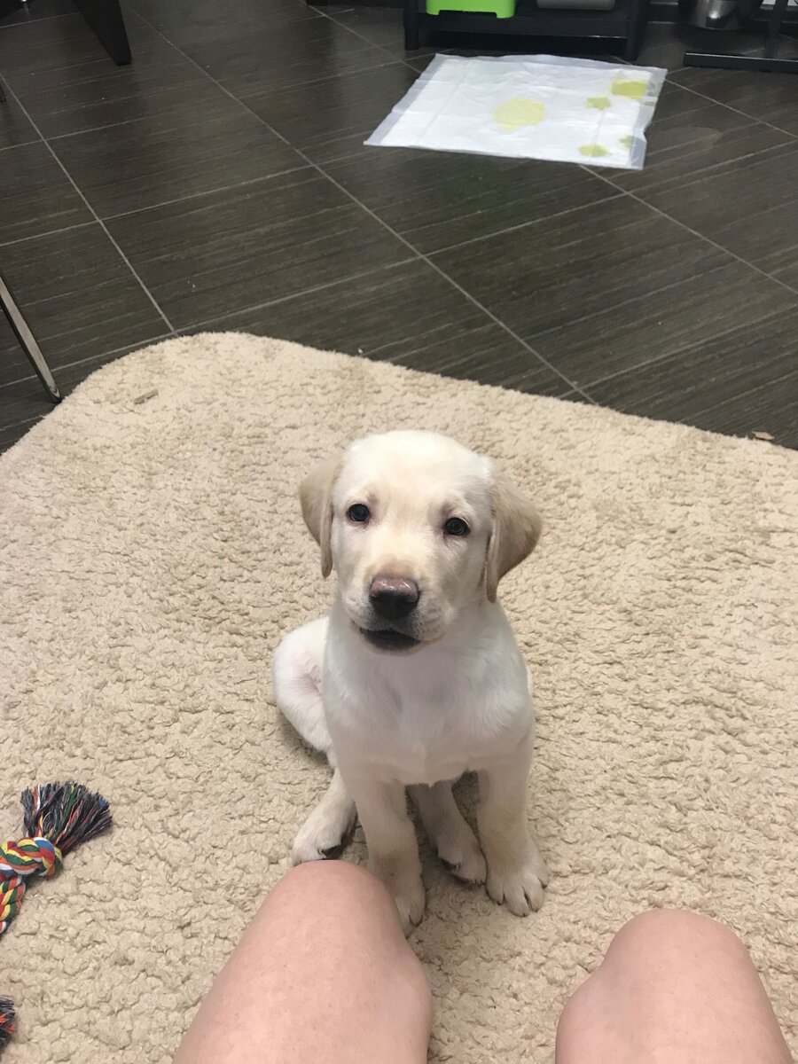 Знакомьтесь, его звали Бакс