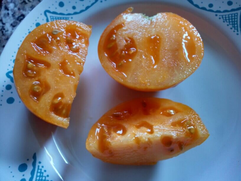 Хурма в разрезе