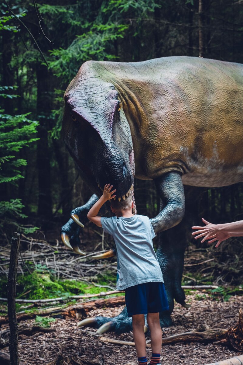 фото Markus Spiske с сайта Unsplash