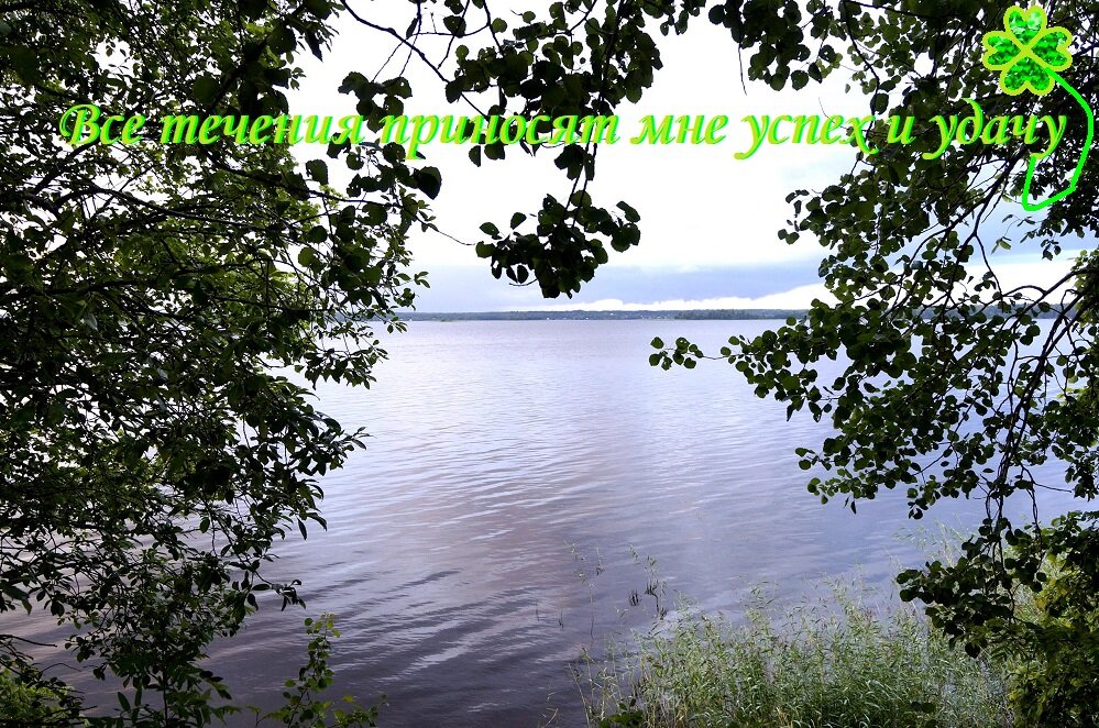 Все течения приносят мне успех и удачу