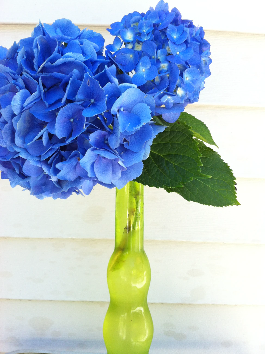 Источник изображения: unsplash.com