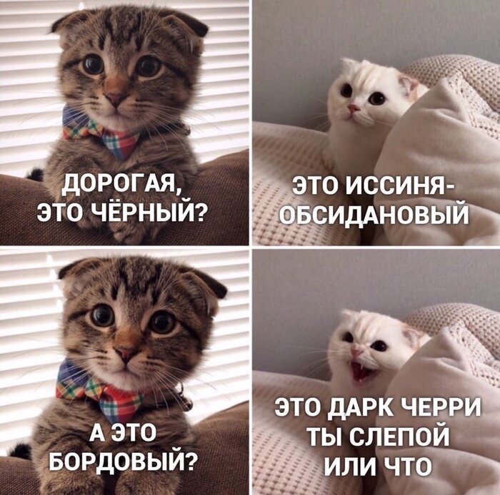 Так всегда 