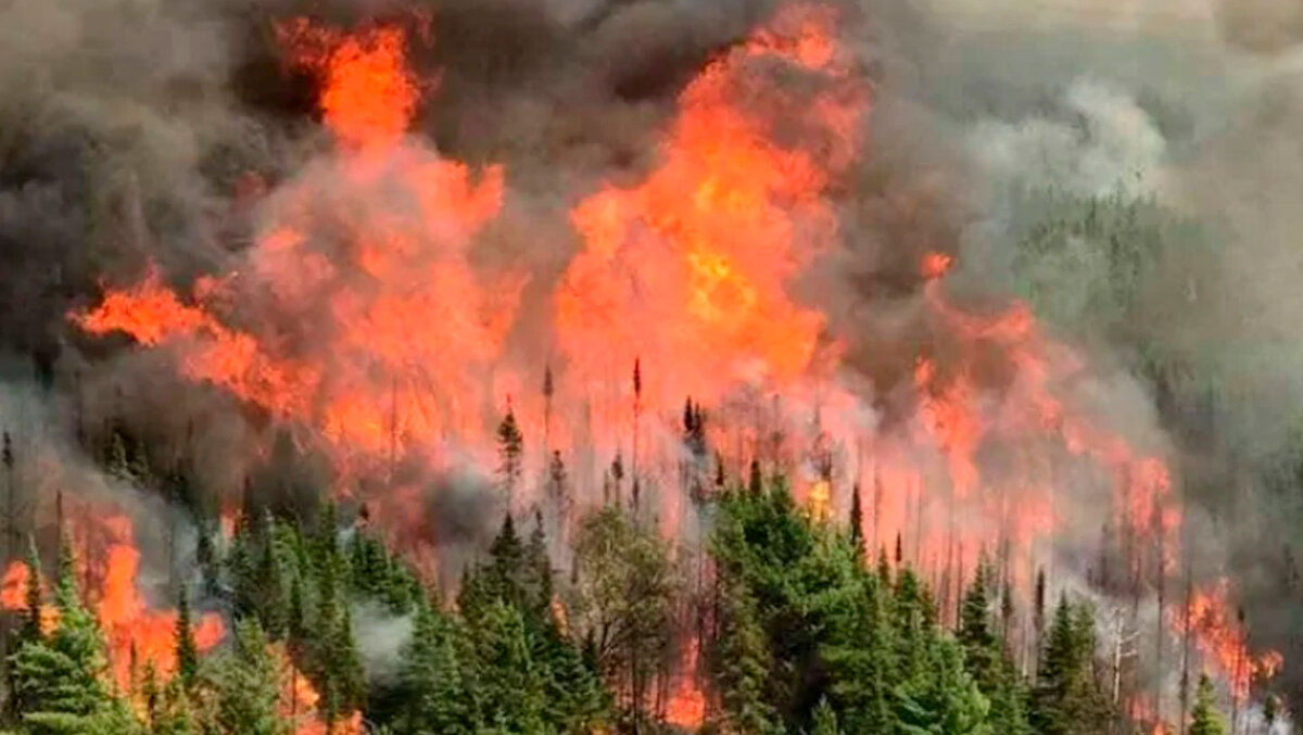  Фото: Группа ВК "ПОДСЛУШАНО ЮГОРСК ХМАО + СОВЕТСКИЙ ХМАО" 