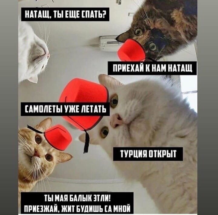 Отредактированный мем с сайта:https://www.meme-arsenal.com/memes/437beb51ad3309d328e1889d6bd16fe8.jpg