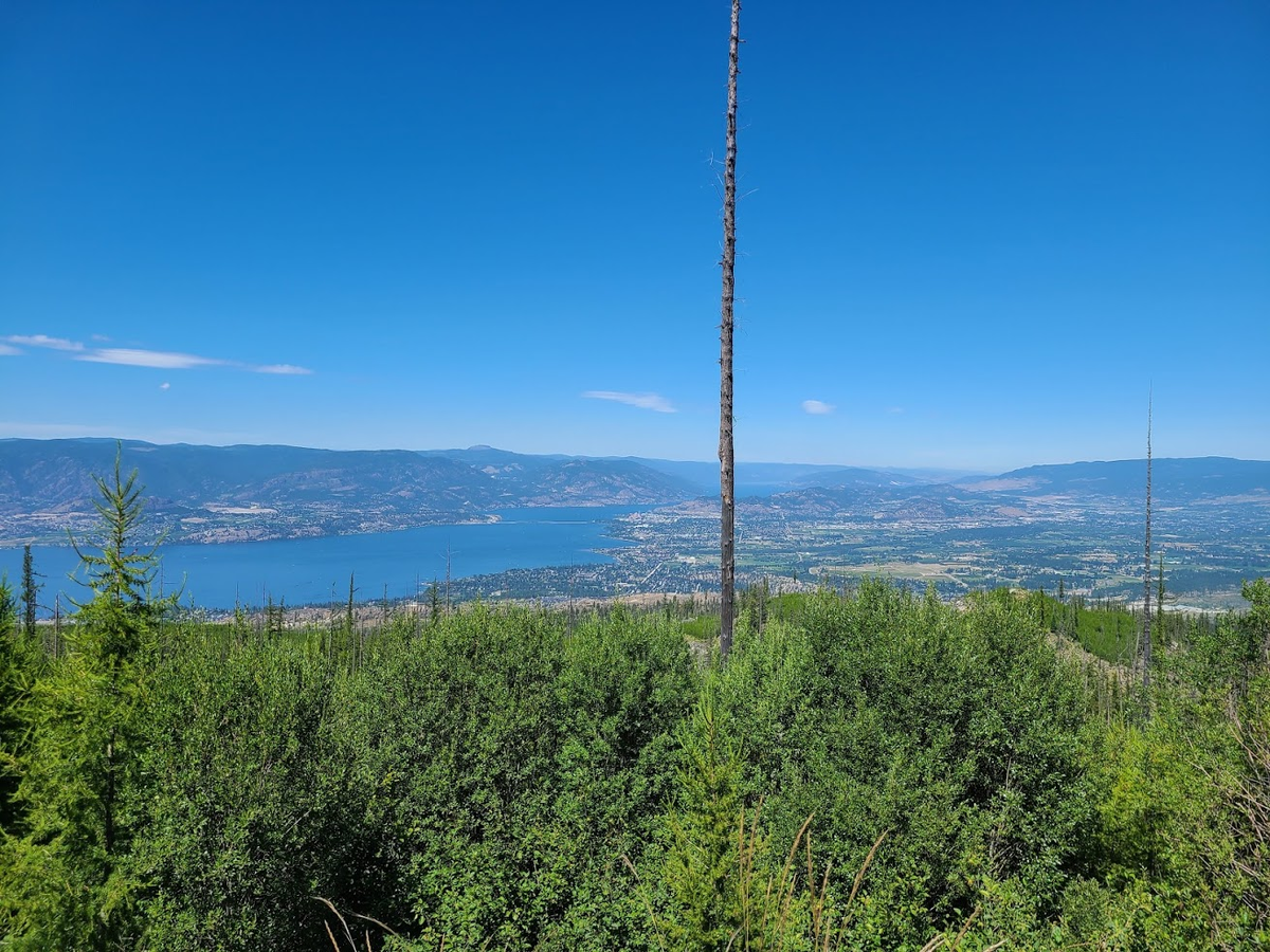 Внизу видна Келоуна