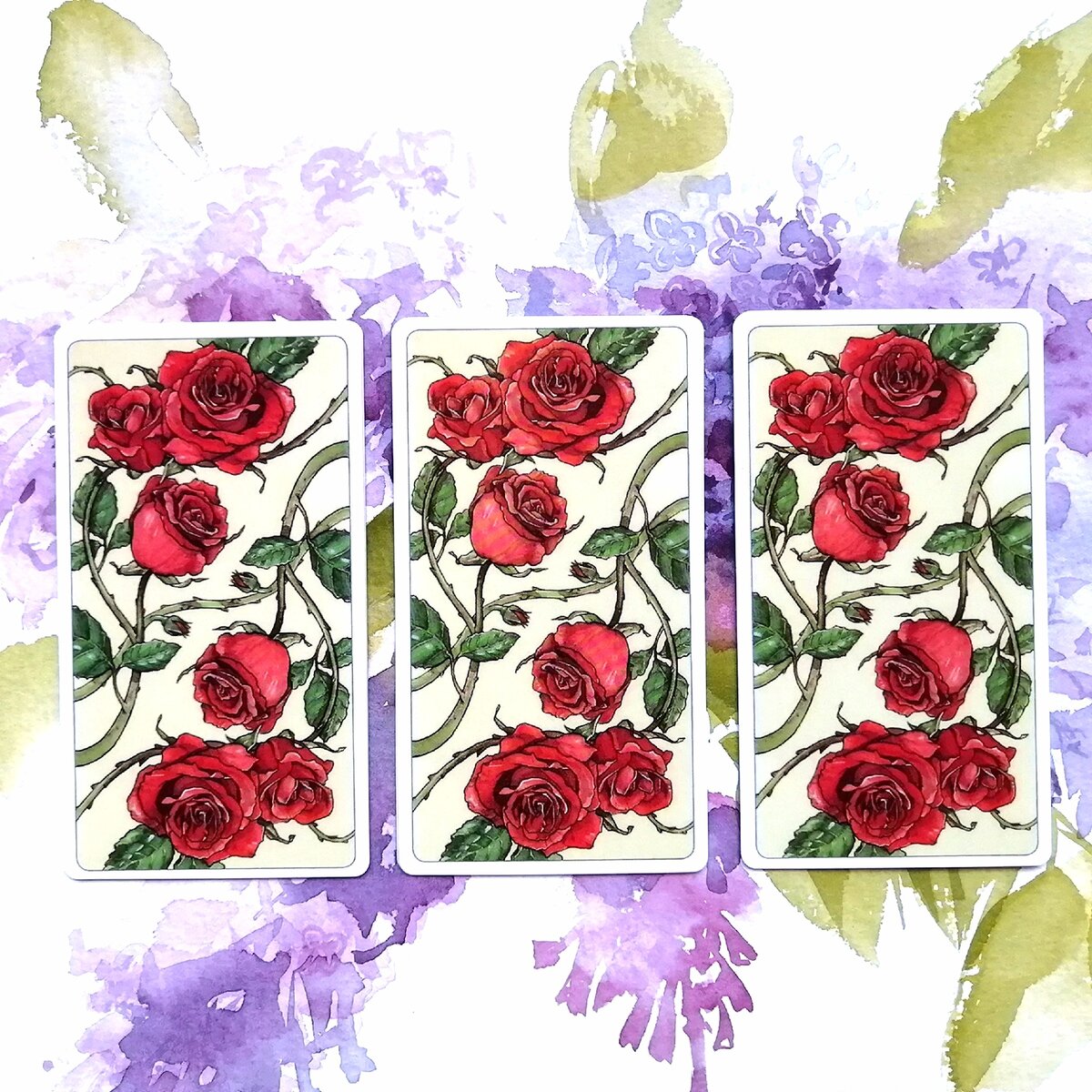 Личное фото автора.