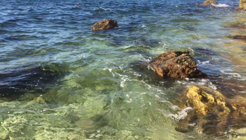 море в Крыму 