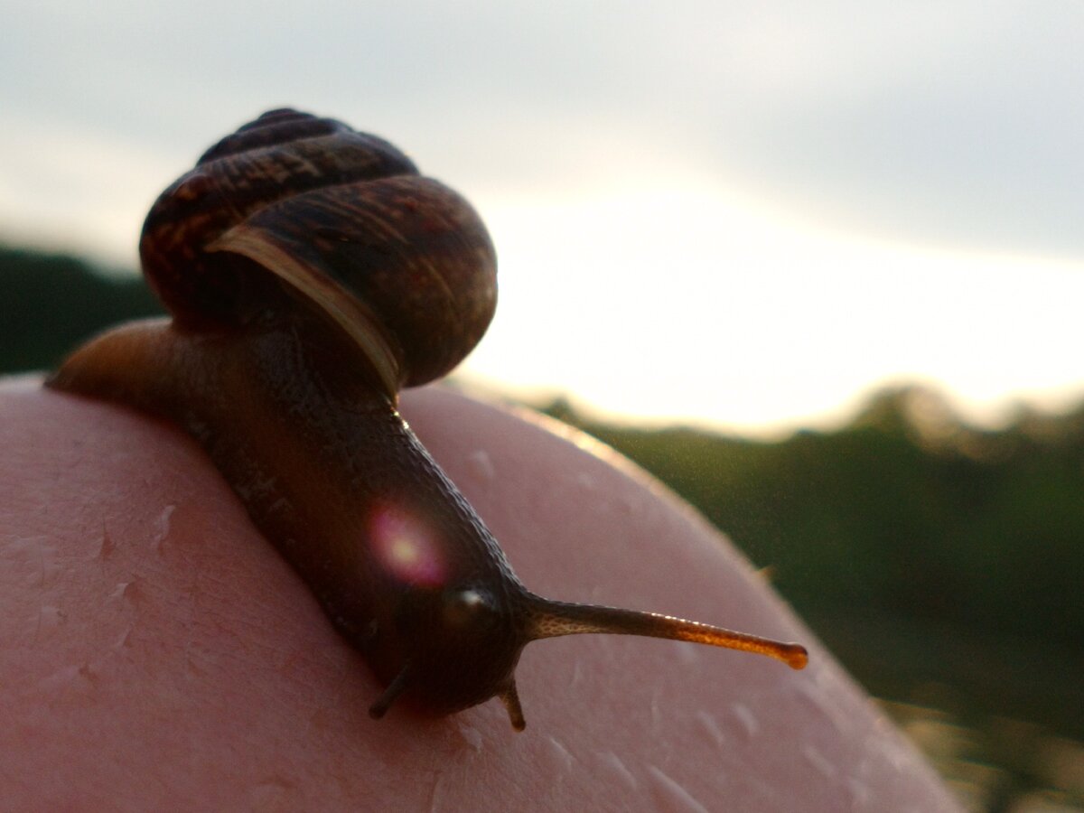 Попал в кадр 