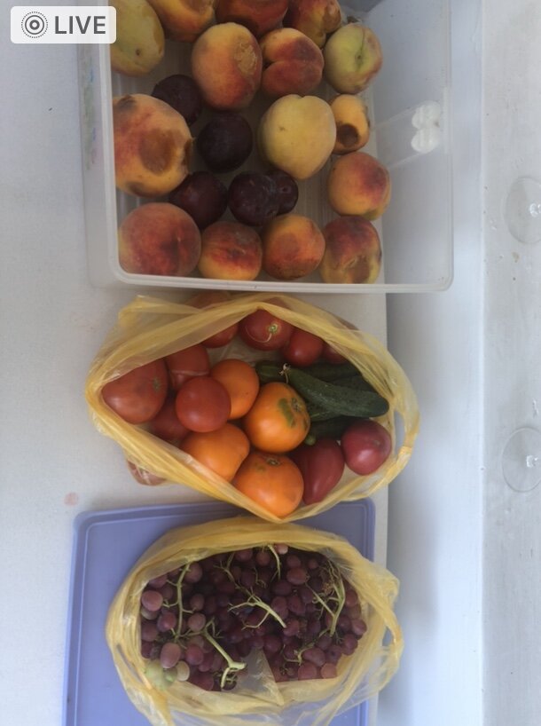 Мой привычный режим , это.               - правильное питание( я стараюсь).         - физкультура( сама себе составляю комплекс), это и элементы йоги и упр для проблемных зон, обязательно растяжка, упр для шеи и всего позвоночника, упр для лица, валик под спину, планка, приседания. Стараюсь ходить, как минимум 10000 шагов в день.                          - Дзен. Теперь для меня это для меня новый интерес, писать для вас то, что интересно мне самой,, так что буду пробовать