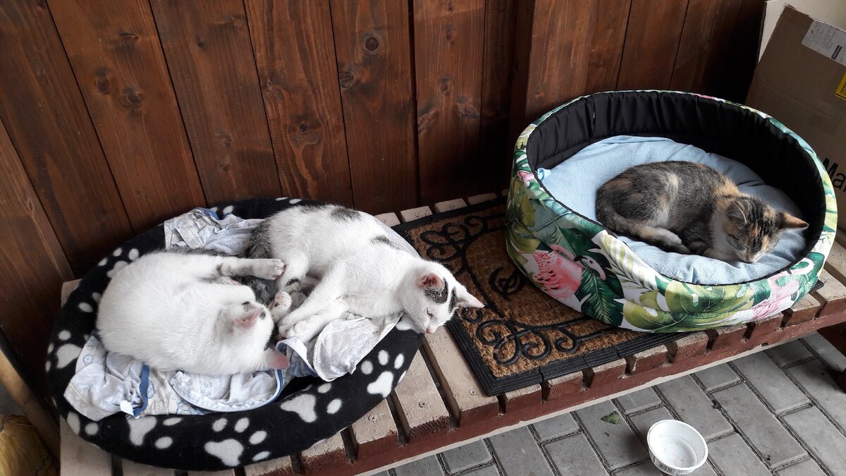 Вот мои аллергены. Из личного архива.