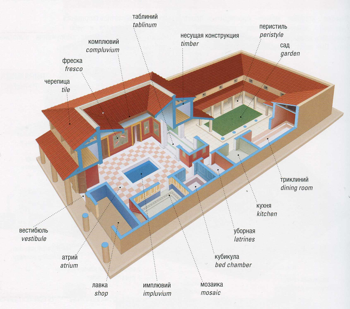 История частной жизни: римский дом | Clementina об античности | Дзен