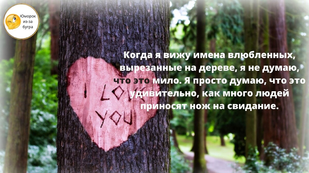 Источник: Dorar-aliraq.net 