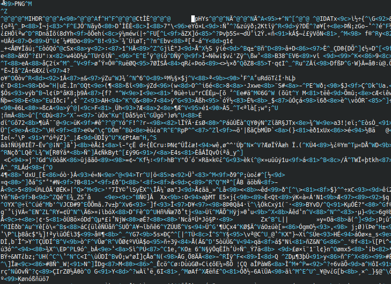 Кусок файла в формате PNG.