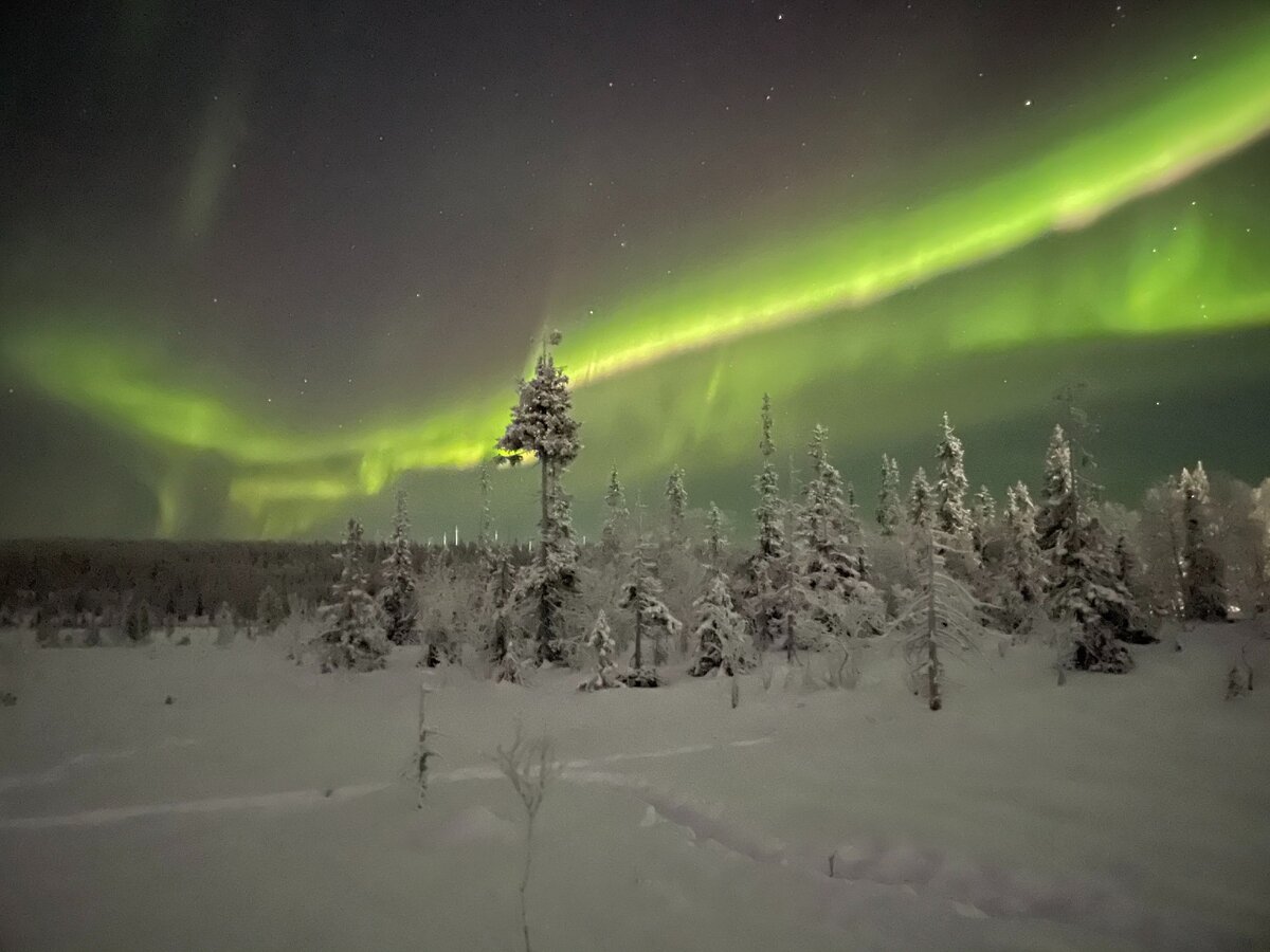 фото с iphone 12 pro