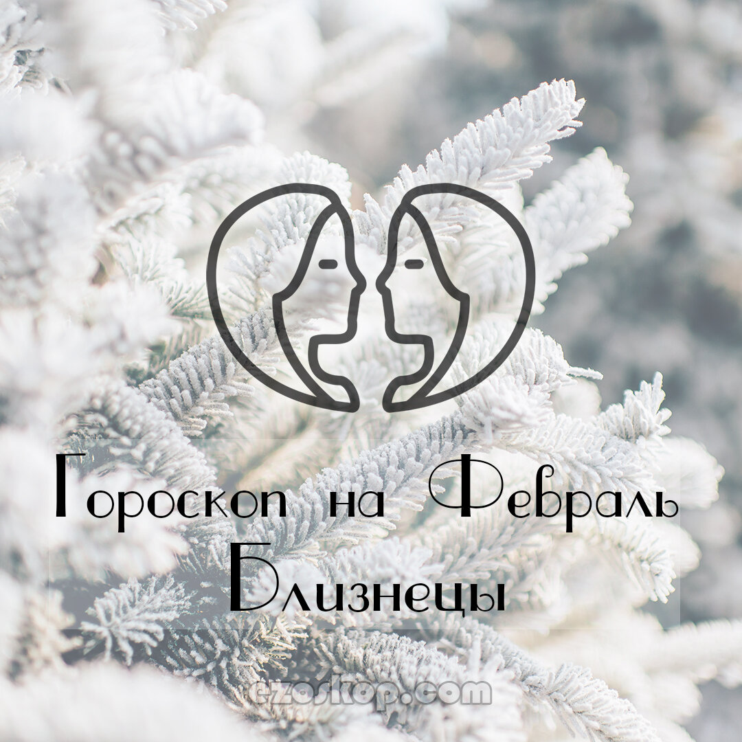 Близнецы. Гороскоп на Февраль