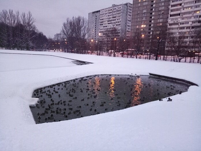Напоминает то, что осталось от массового образования