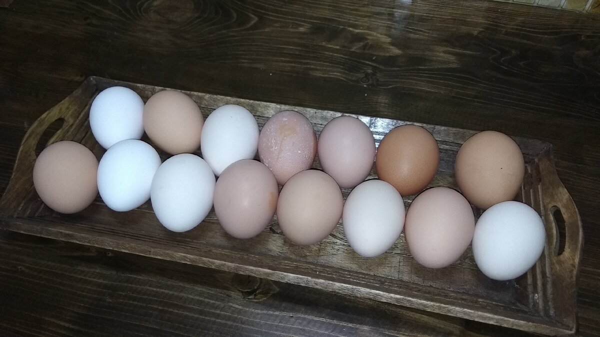 фотография из личного архива.