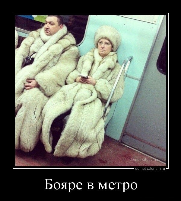 Фото взято из свободных источников