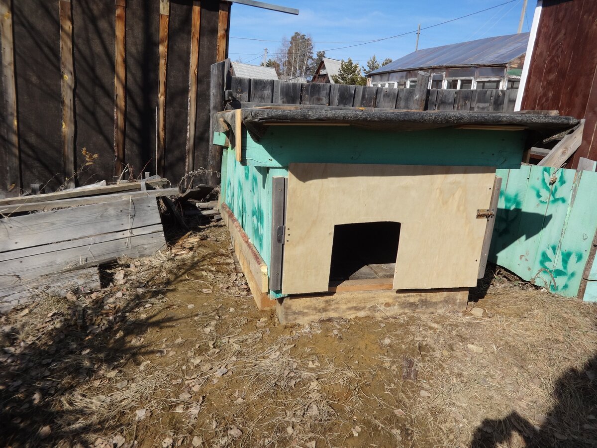 Вот такой получился курятник. Фото автора, Листайте галерею