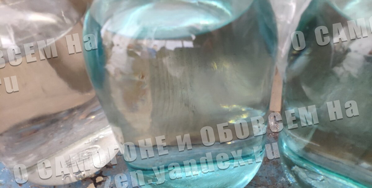 Чача на отдыхе